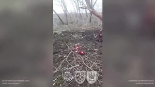 17 russians in a truck are destroyed by Artillery fire