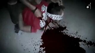 Mixed Gore (Compilation)