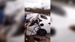 Car Occupants Killed In Head On Crash In Brazil