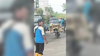 Man Stabbed During Street Fight In Indonesia