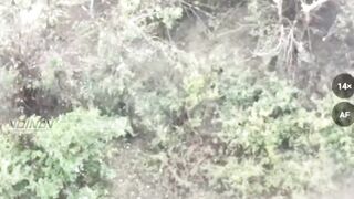 Two Ukrainians eliminated
