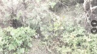 Two Ukrainians eliminated