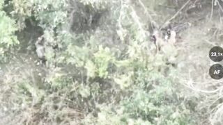 Two Ukrainians eliminated