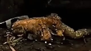 The drone is going to finish the work of its colleagues