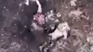 Orcs consistently "tickle" Ukrainians