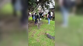 Phone Thief Caught And Kicked By Good Samaritans In Colombia