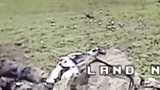 Baby's ass ruptured