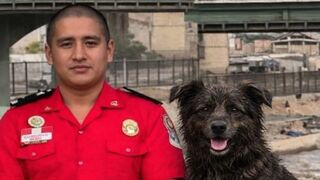 Police Officer Drowns In Peru While Trying to Save Dog From the Rimac River
