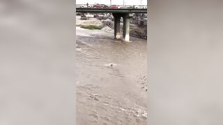 Police Officer Drowns In Peru While Trying to Save Dog From the Rimac River