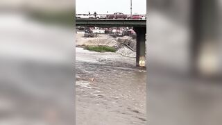 Police Officer Drowns In Peru While Trying to Save Dog From the Rimac River
