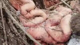 Ukrainian soldier found dismembered.