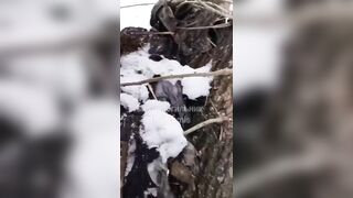 Ukrainian soldier found dismembered.