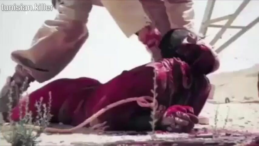 Death 'n' shit compilation 2
