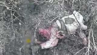 Destroyed ORCs assault groups in the Bakhmut direction