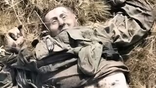 Short compilation of the brutality of war