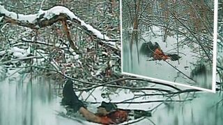 Drone Blitz Slices Russian Ghoul in Half