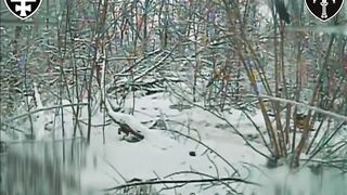 Drone Blitz Slices Russian Ghoul in Half