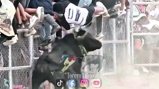 idiot fucked by angre bull