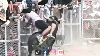 idiot fucked by angre bull