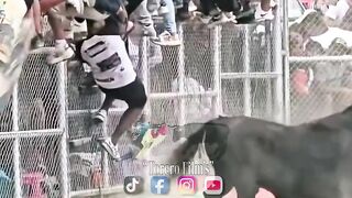 idiot fucked by angre bull