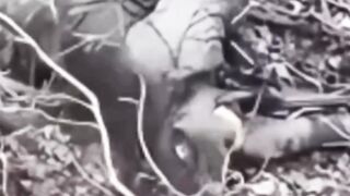 The moment a bullet hit a Russian soldier's head