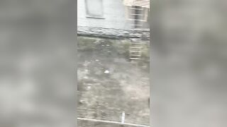 Meahwhile In The Bronx, New York