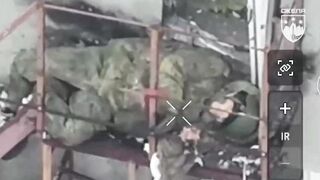 UKRAINE DEATH COMP CXLI