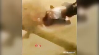 Gore Compilation
