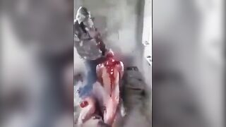 Gore Compilation