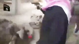 Gore Compilation