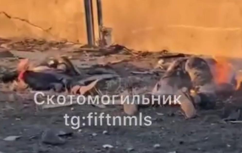 Rubicon kills 16 Ukrainian "civilians"