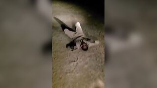 RSF Commander Executed In Sudan