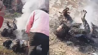 Two Brothers Fried By Fallen Live Wire