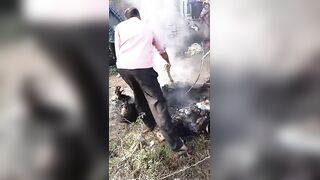 Two Brothers Fried By Fallen Live Wire