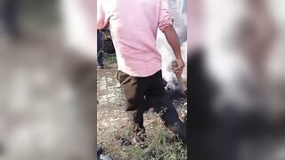 Two Brothers Fried By Fallen Live Wire