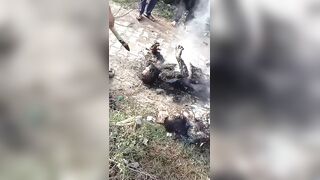 Two Brothers Fried By Fallen Live Wire