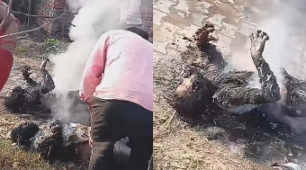 Two Brothers Fried By Fallen Live Wire