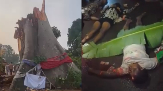 11 Dead After Mystery Tree Crushes Bus in Nigeria