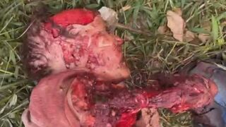 Elderly Woman Mauled To Death By Pitbulls In Brazil
