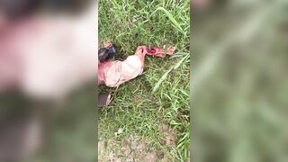 Elderly Woman Mauled To Death By Pitbulls In Brazil