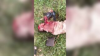 Elderly Woman Mauled To Death By Pitbulls In Brazil