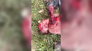 Elderly Woman Mauled To Death By Pitbulls In Brazil