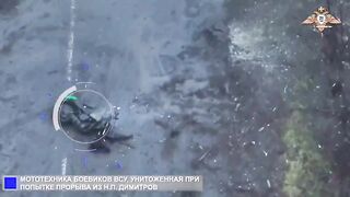 Remains of a Ukrainian assault team after an ambush.