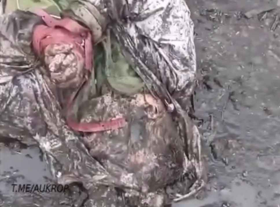 The corpse of an executed Ukrainian.
