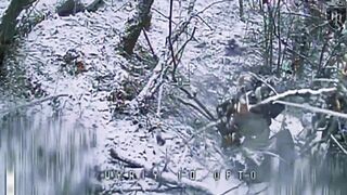 Russians are dying near Pokrovsk