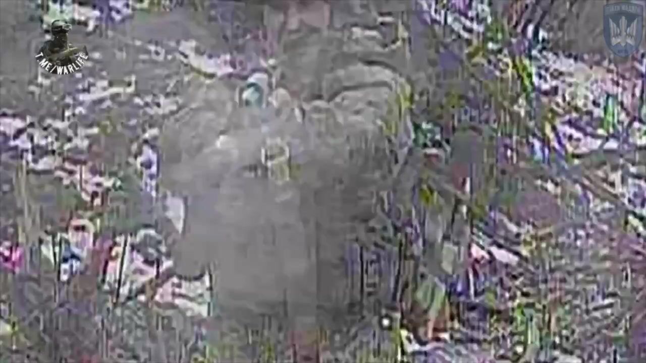 Russians are being killed during the advance on Pokrovsk
