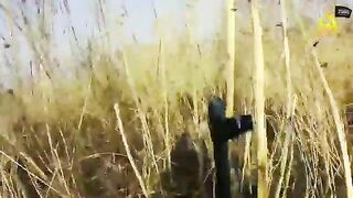Gopro of epic close range shootout