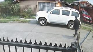 Wannabe Thief Meet Karma Face-First