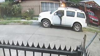 Wannabe Thief Meet Karma Face-First