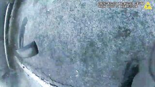Driver Runs Stop Sign and Strikes New York State Trooper at a Crash Scene